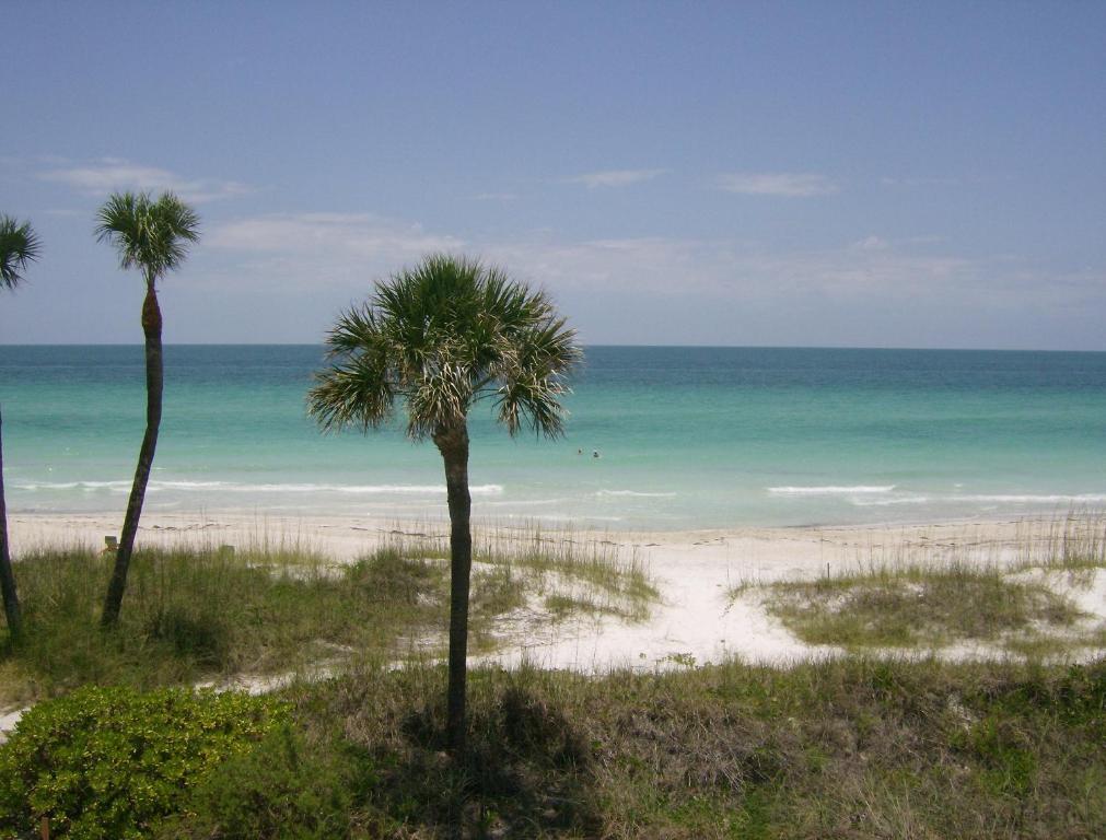 Club Bamboo South - Bradenton Beach Εξωτερικό φωτογραφία